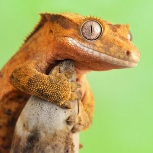 Meet your Posher, 2021 - finn